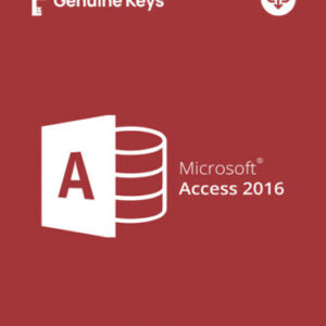 microsoft-access-product